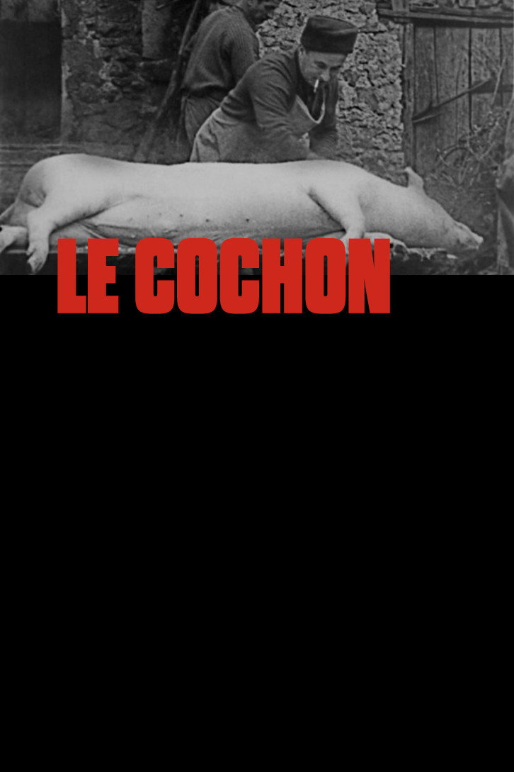 Свинья