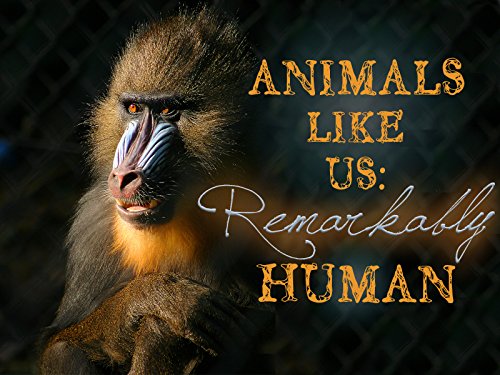 Animals Like Us