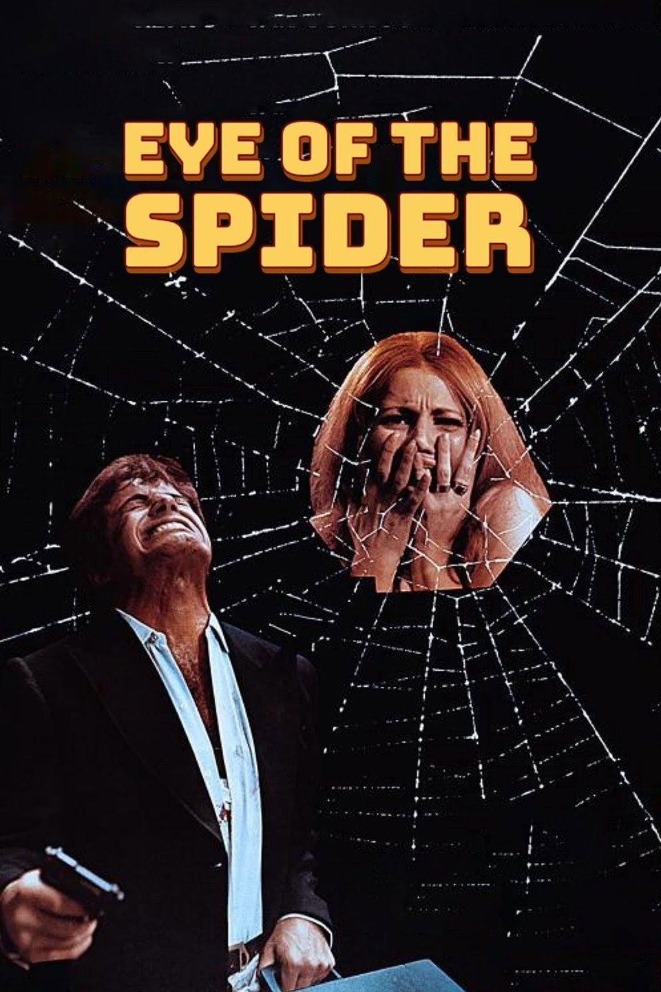 Das Auge der Spinne