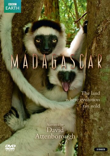 Madagaskar - Ein geheimnisvolles Wunder der Natur