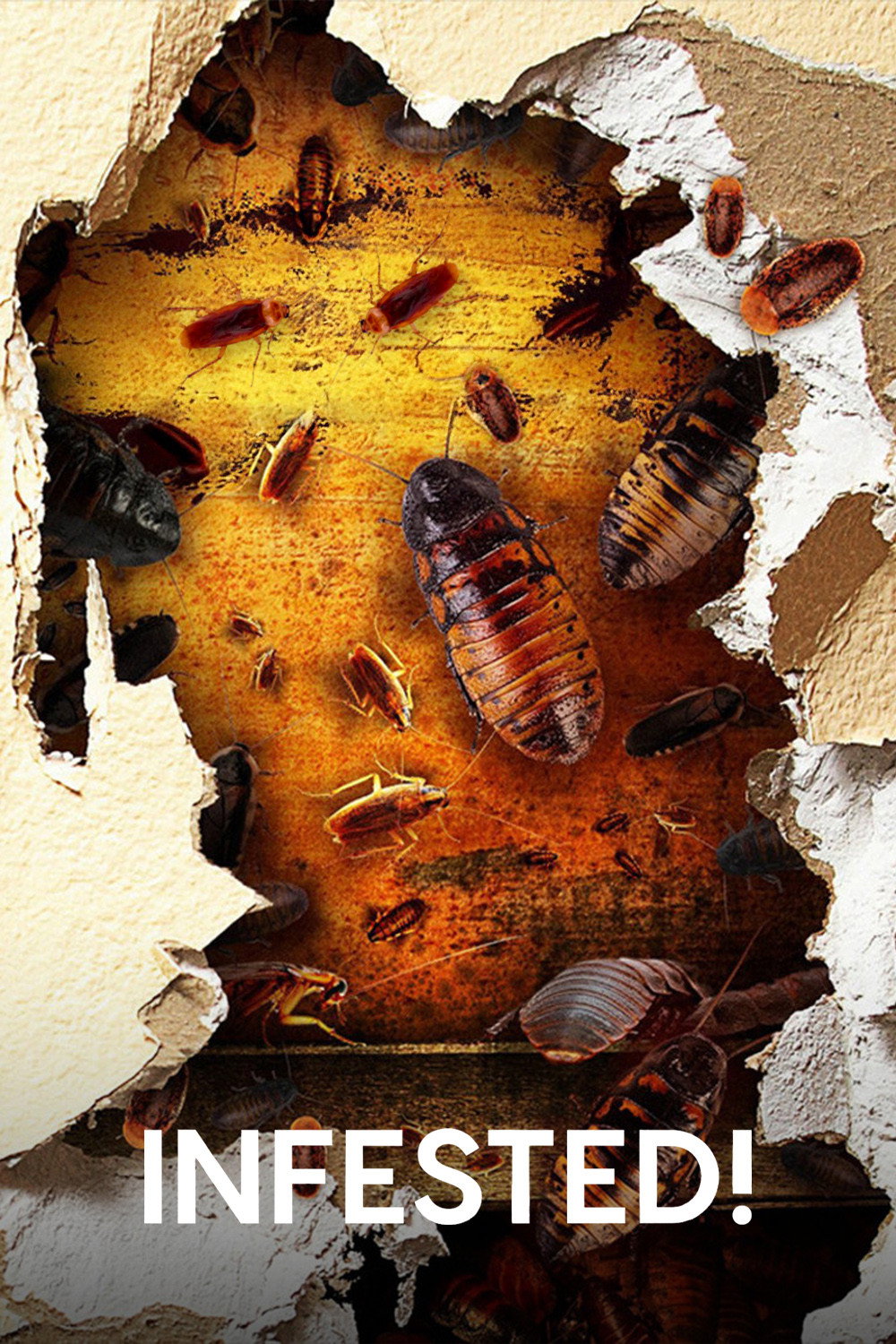 Infested!