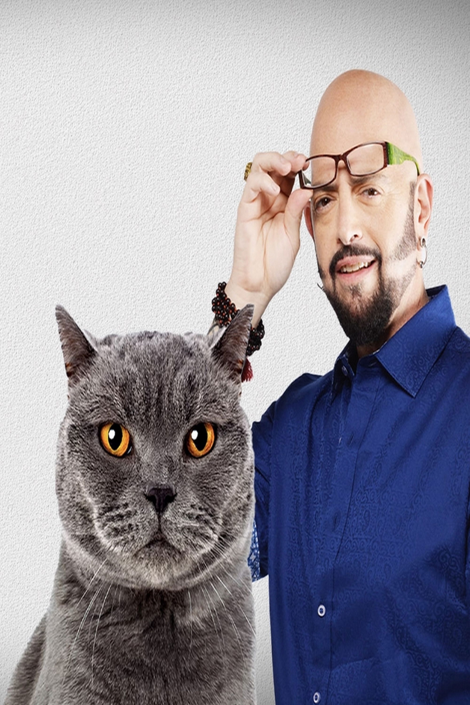 Адская кошка