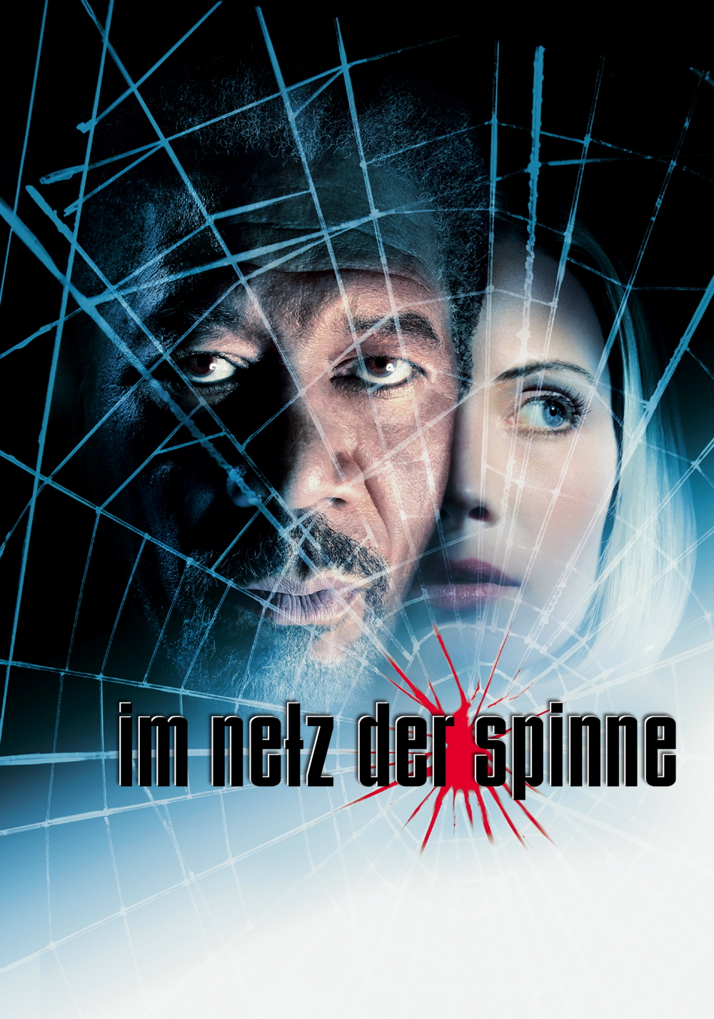 Im Netz der Spinne