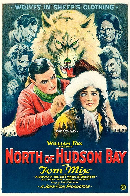 Unter den Wölfen von Alaska