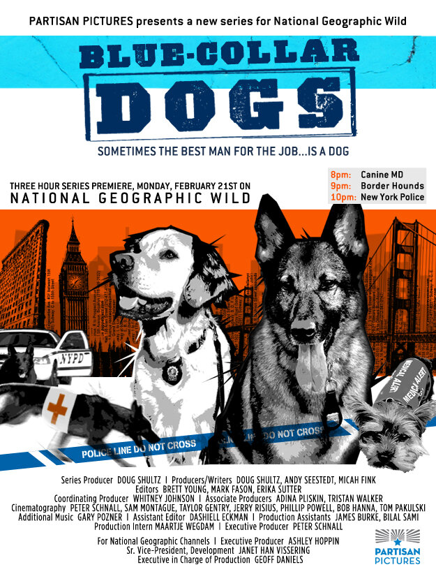 Blue Collar Dogs