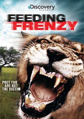 Crocodile Feeding Frenzy