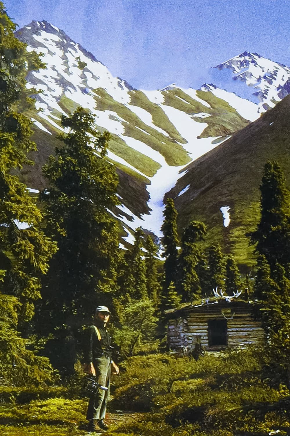 Один в дикой природе