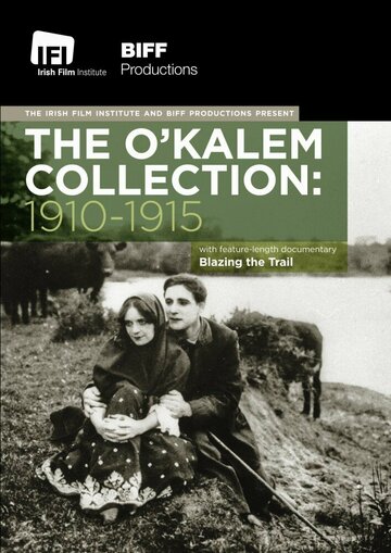 Blazing the Trail: The O'Kalems in Ireland
