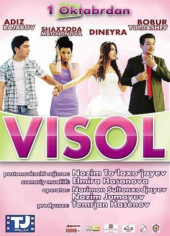 Visol