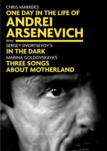 Ein Tag im Leben des Andrej Arsenewitsch
