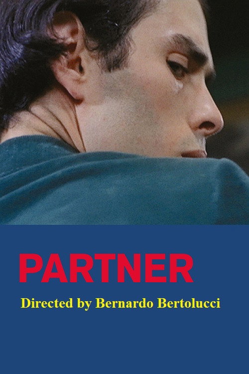 Partner.
