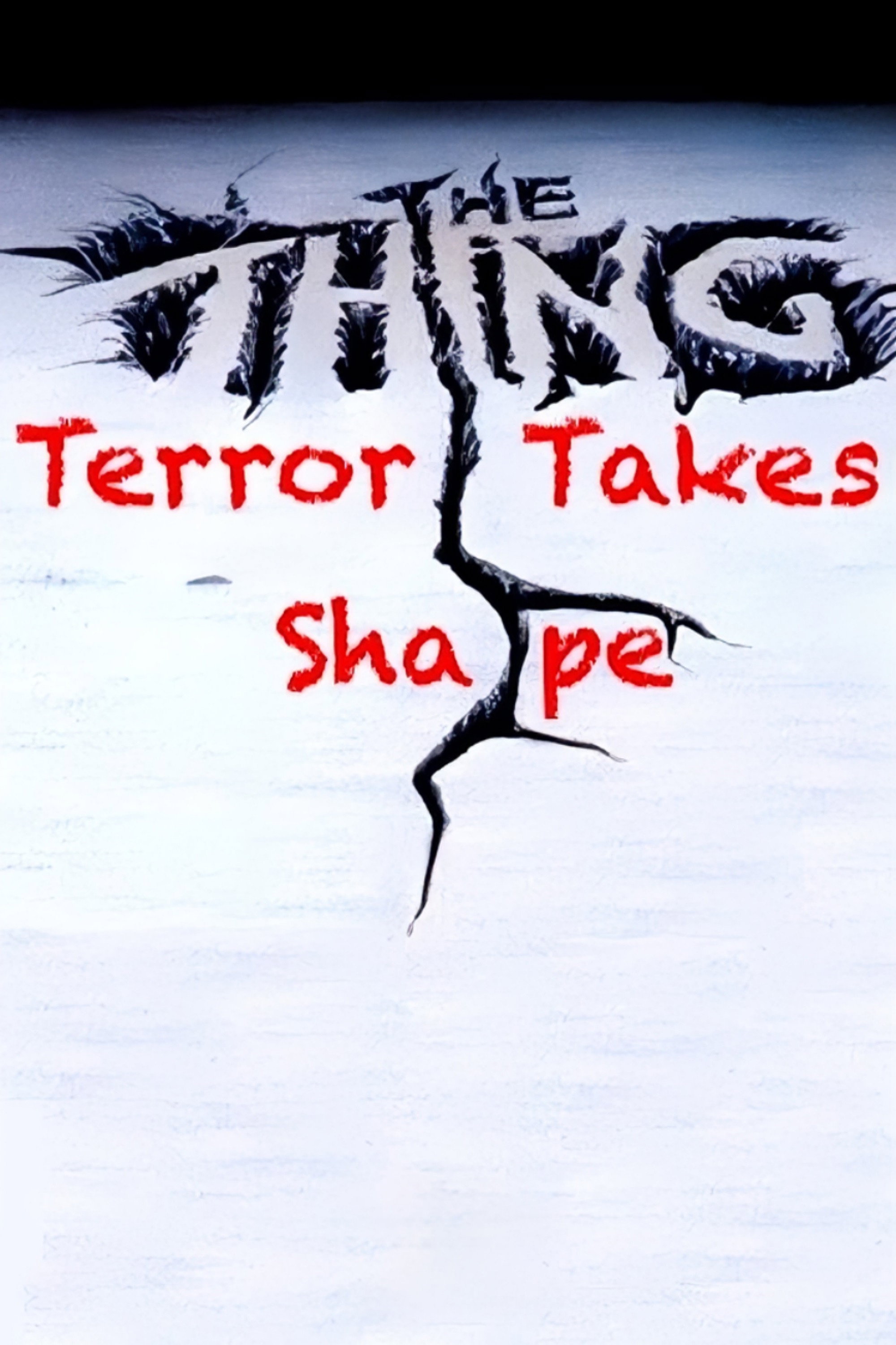 Der Terror nimmt Gestalt an