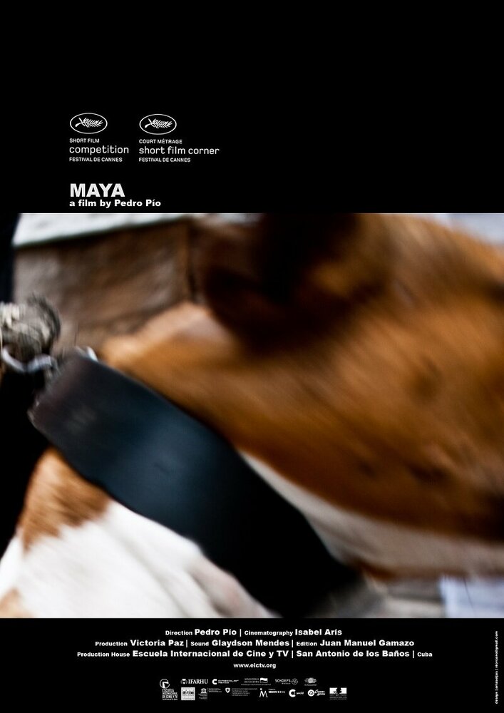 Maya