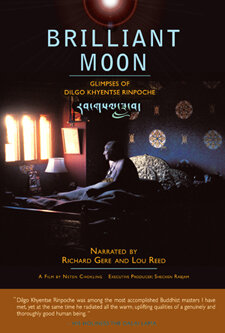 Brilliant Moon