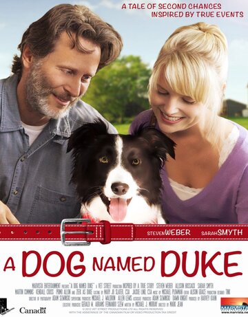 Ein Hund namens Duke
