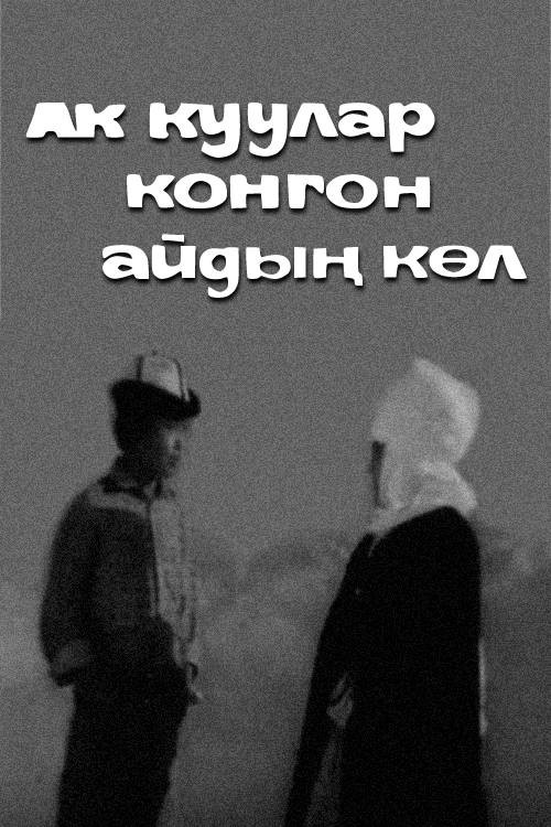 Сюда прилетают лебеди