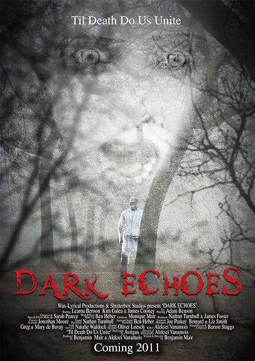 Dark Echoes