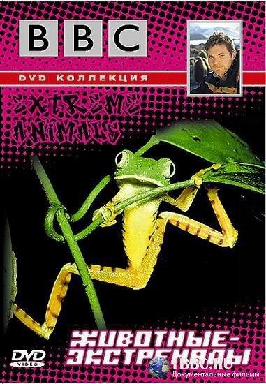 BBC: Животные-экстремалы