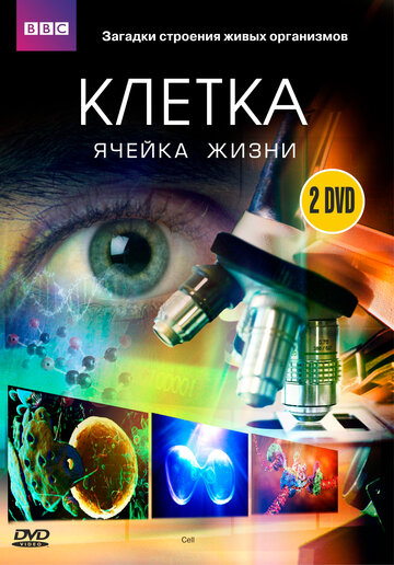 BBC: Клітина