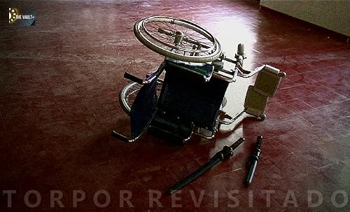 Torpor Revisitado