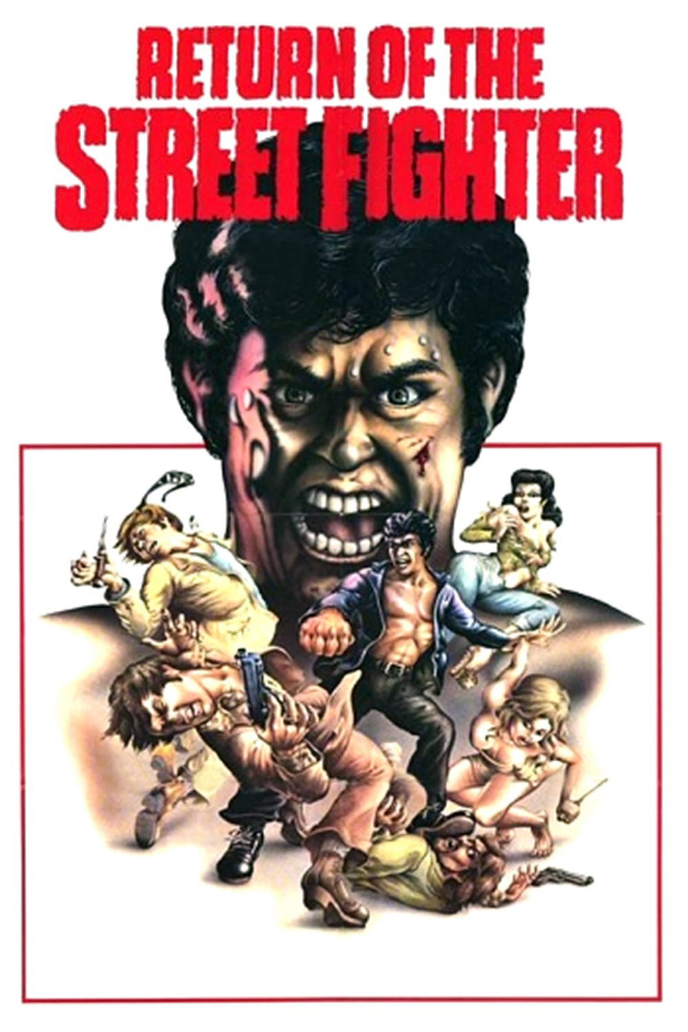 Return of the Street Fighter