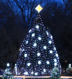 The National Christmas Tree Lighting