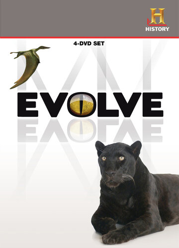 Wunder der Evolution - Der härteste Wettbewerb in der Natur