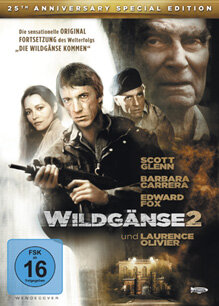 Wildgänse 2