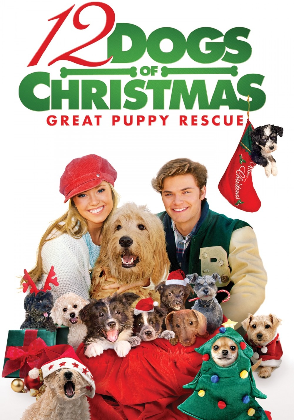 12 Dogs of Christmas - Great Puppy Rescue