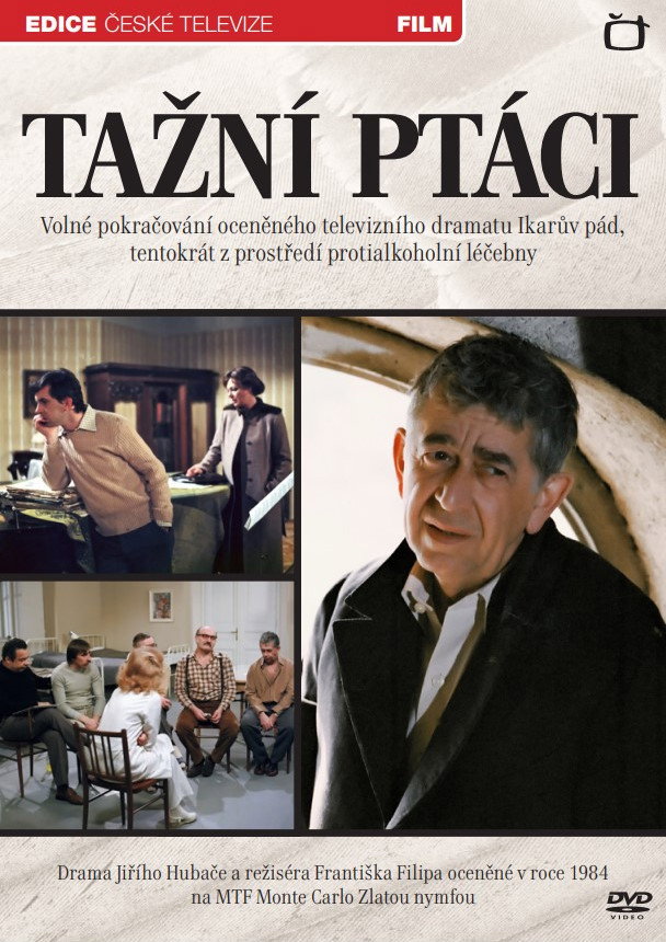 Tazní ptáci