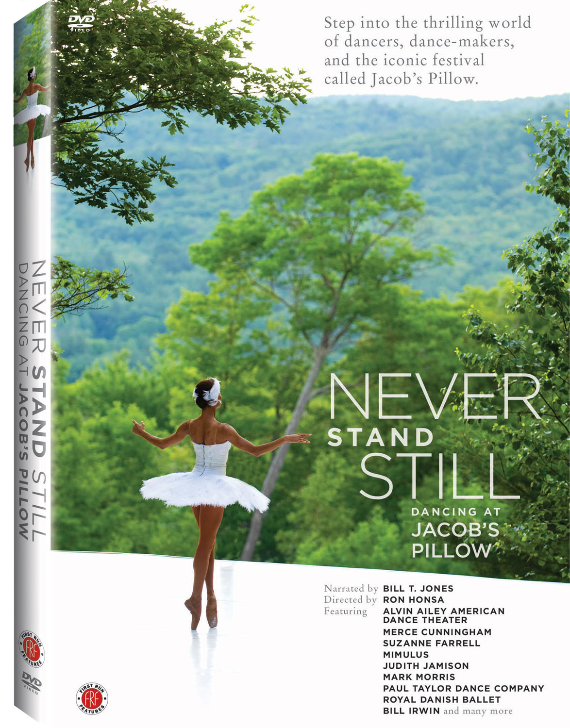 Never Stand Still