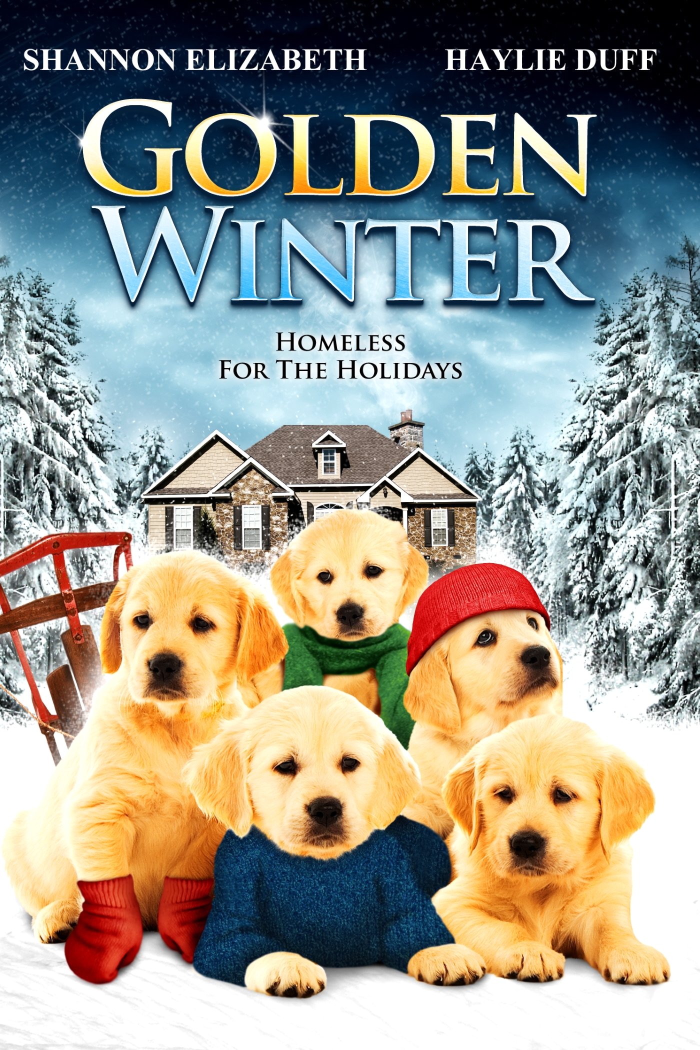 Golden Winter - Wir suchen ein Zuhause