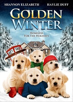 Golden Winter - Wir suchen ein Zuhause