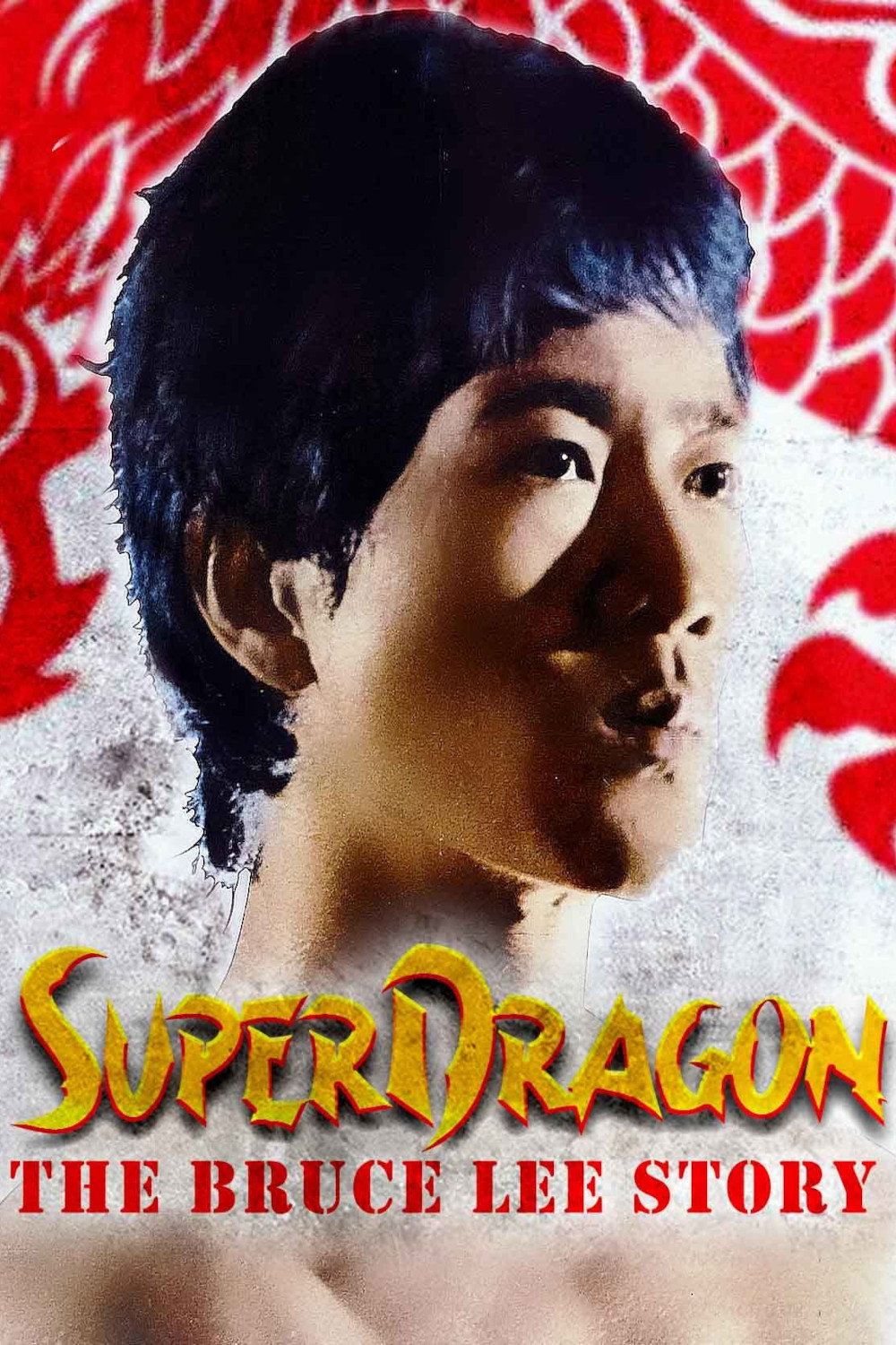 Die Bruce Lee Story