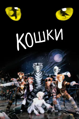 Кошки