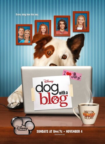 Hund mit Blog