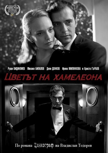 Цвет хамелеона