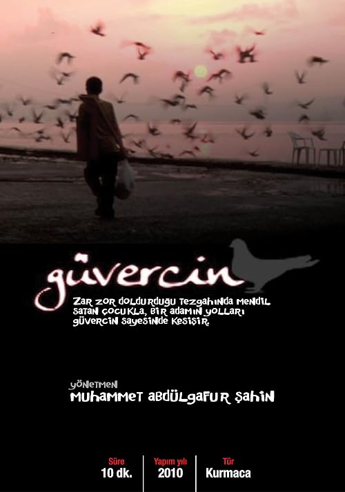 Güvercin