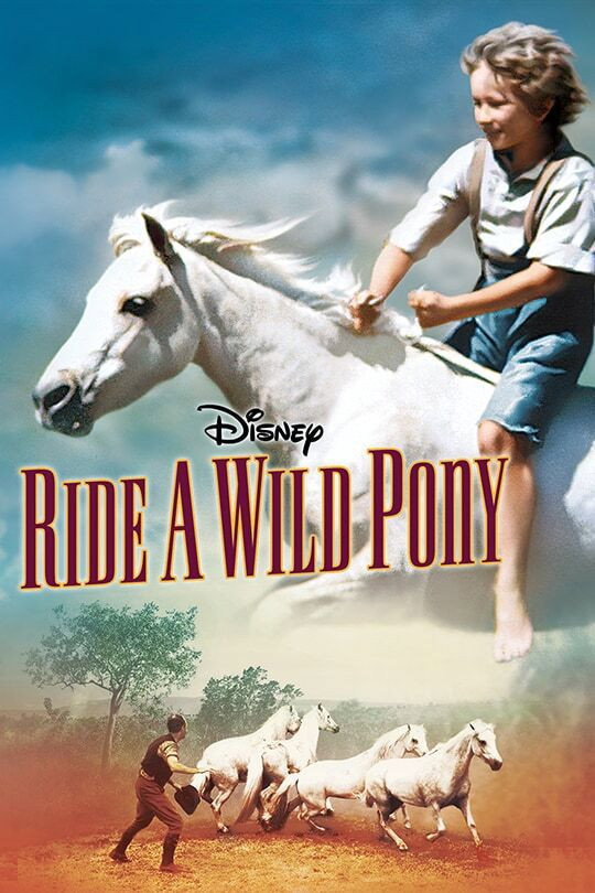 Mein wildes Pony