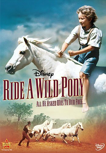 Mein wildes Pony