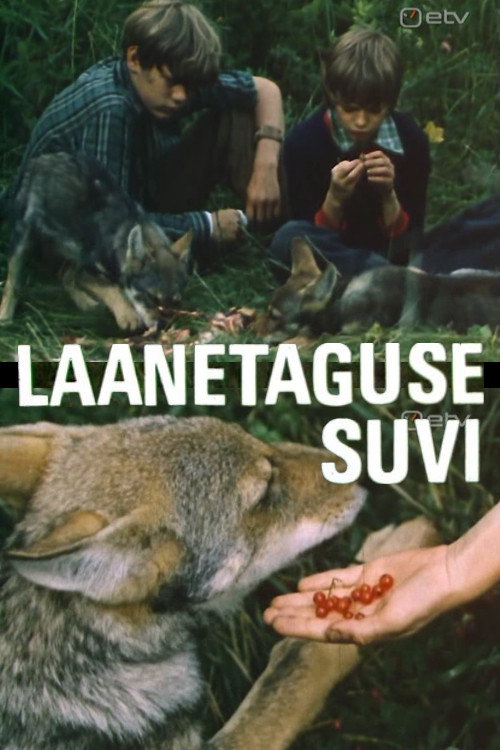 Лето в Заборье