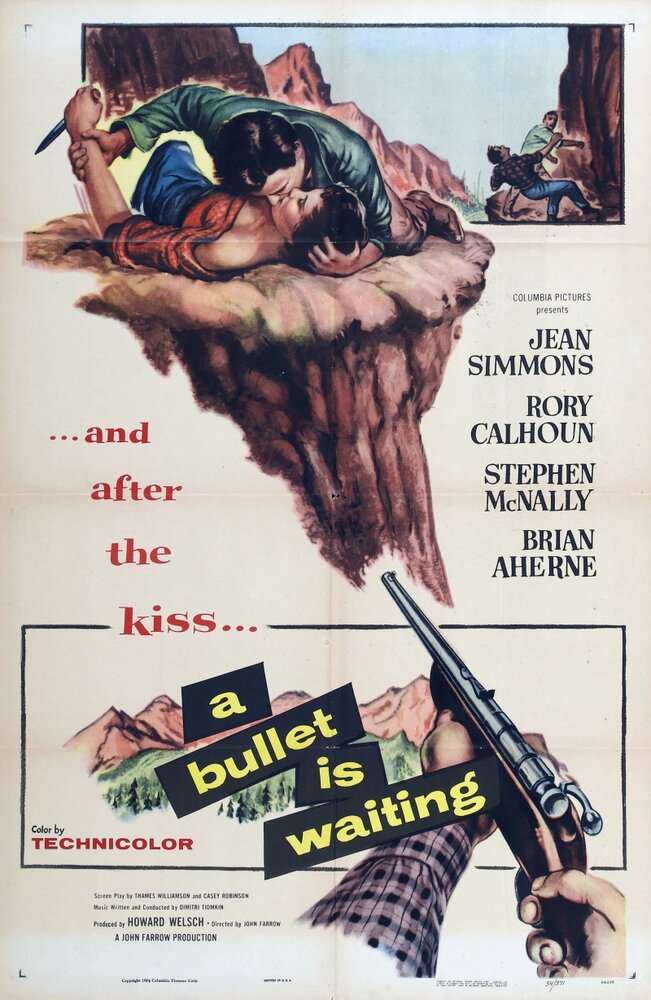 A Bullet Is Waiting