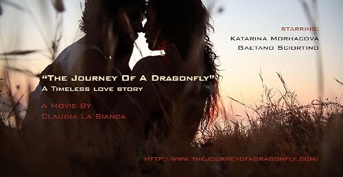 The Journey of a Dragonfly