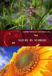 Nature by Numbers