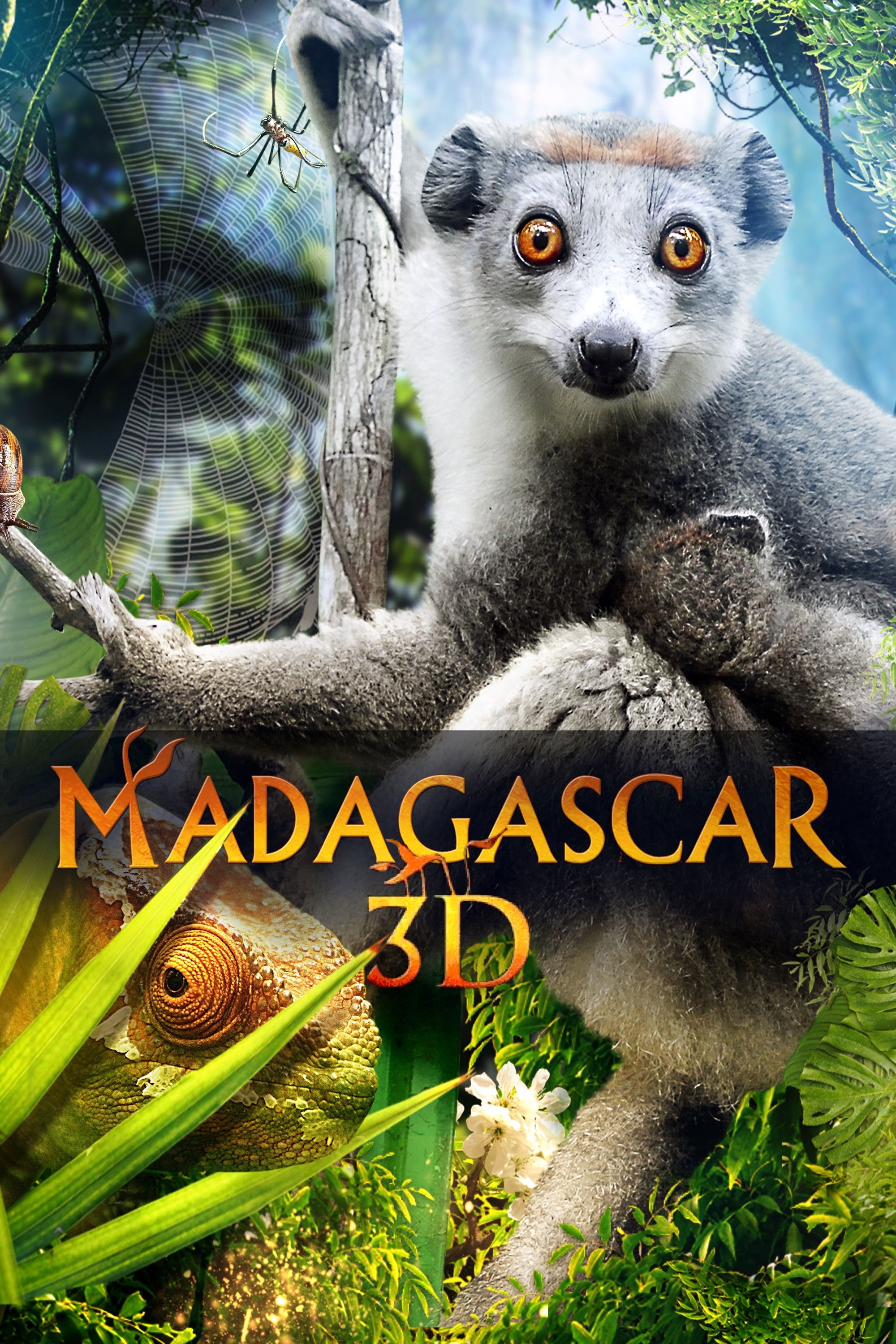 Мадагаскар 3D