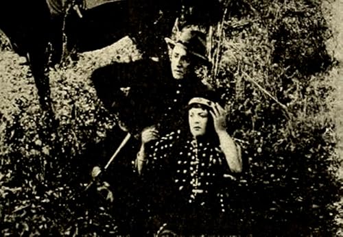 A Waif of the Plains