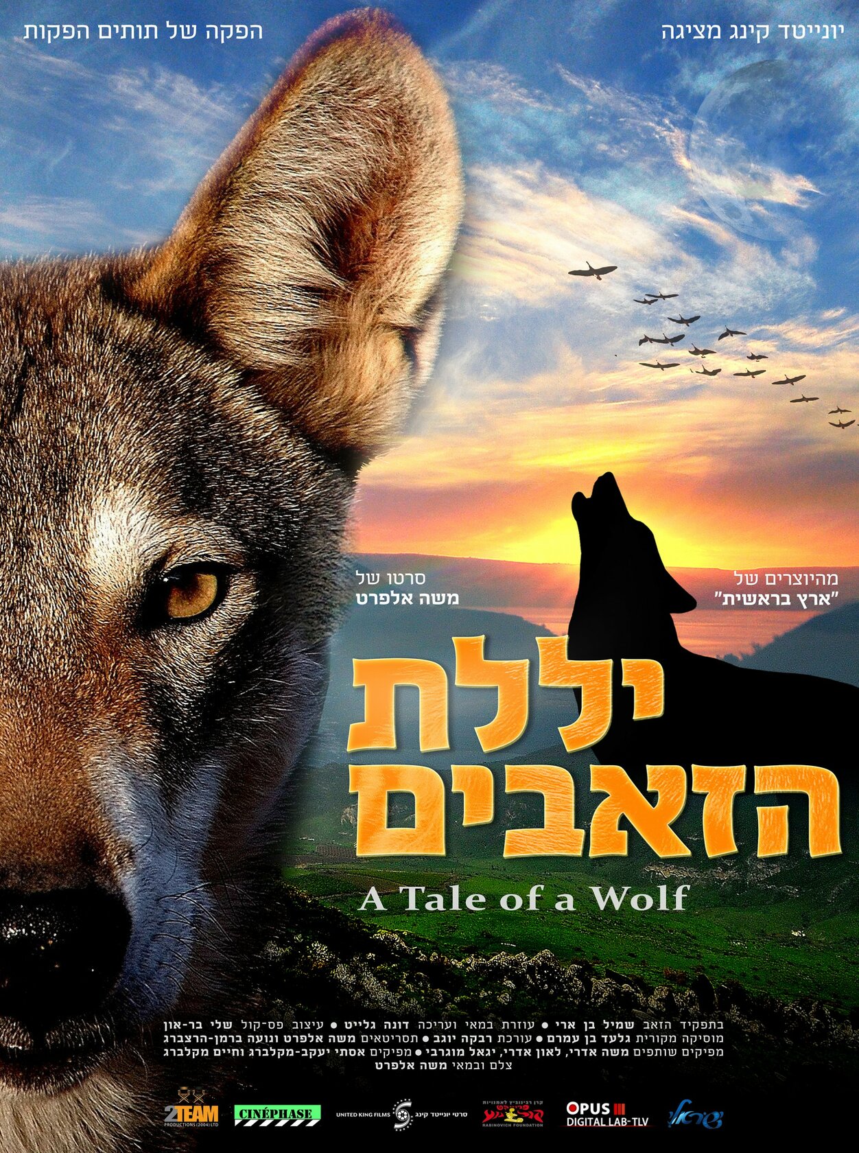 יללת הזאבים