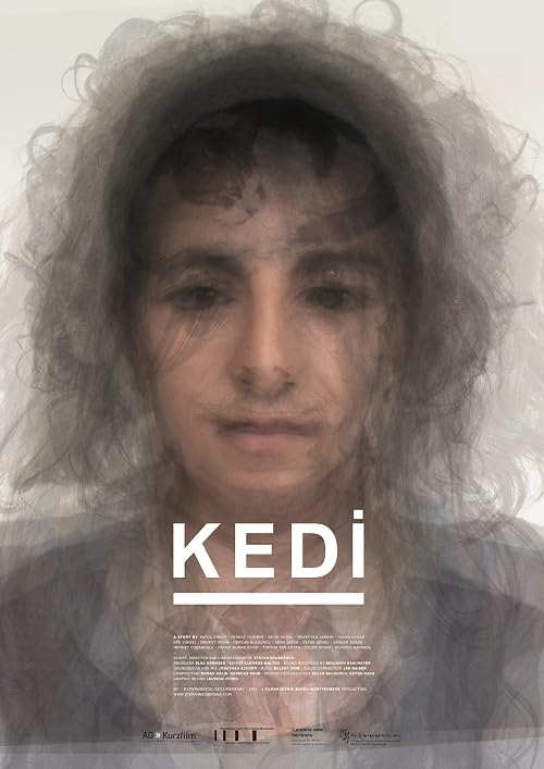 Kedi