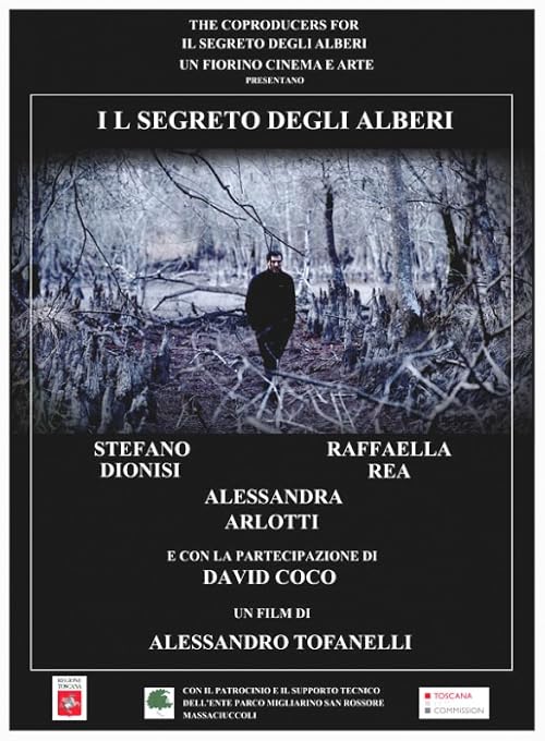 Il segreto degli alberi
