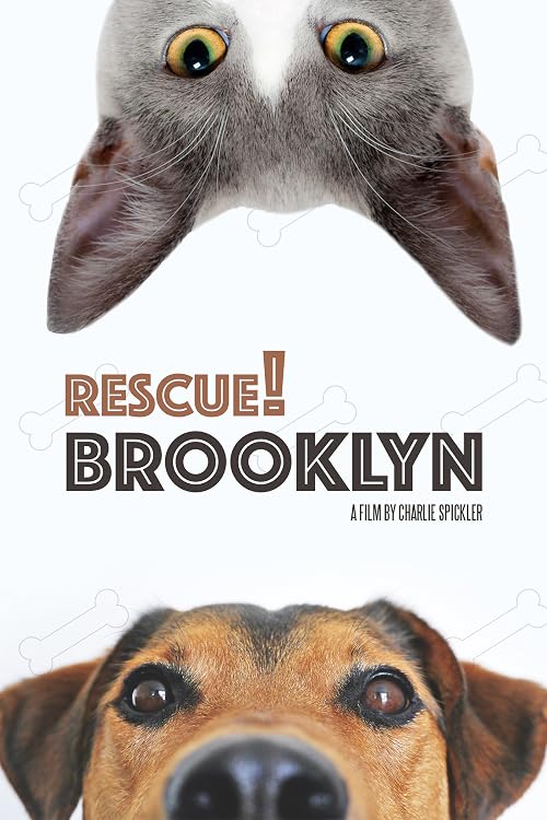 Rescue! Brooklyn